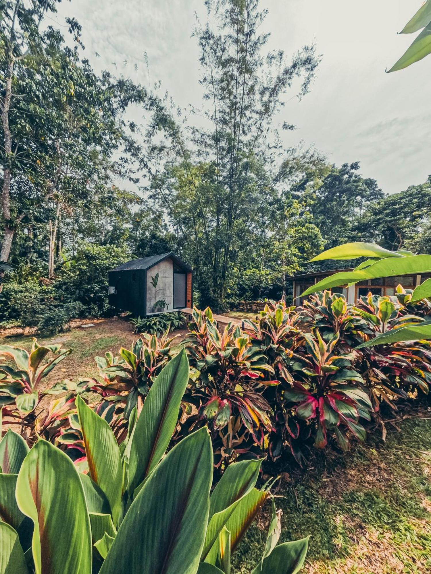 Tagua Lodge تينا المظهر الخارجي الصورة
