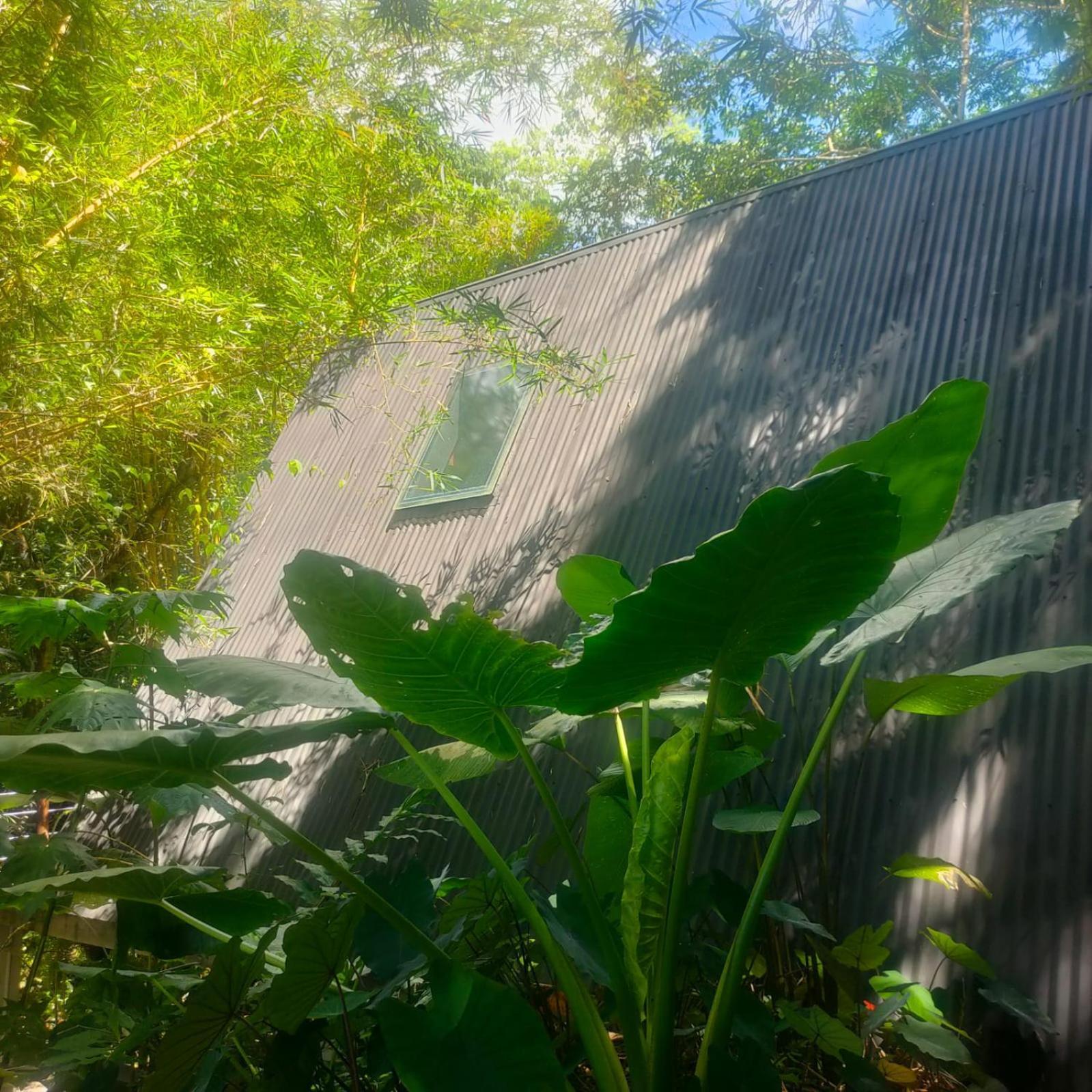 Tagua Lodge تينا المظهر الخارجي الصورة